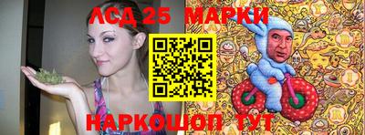 шишки Новодвинск