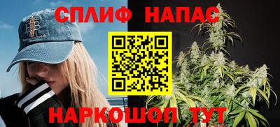 шишки Новодвинск