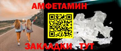 шишки Новодвинск