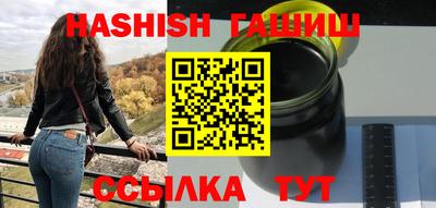 шишки Новодвинск