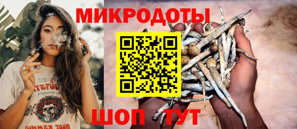Тайшет  Галлюциногенные грибы MAGIC MUSHROOMS  Псилоцибиновые грибы Cubensis  Вход с VPN 